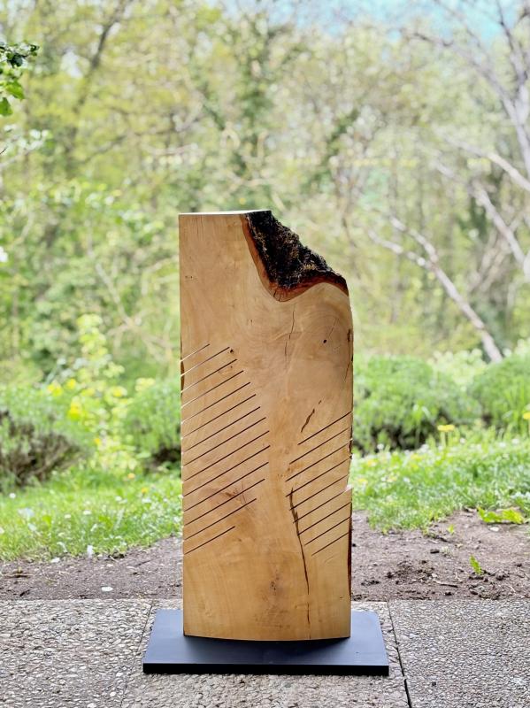 Image de la pièce numéro 904