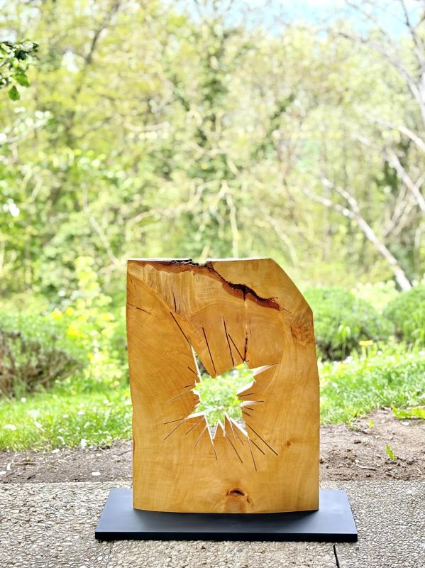 Image de la pièce numéro 905